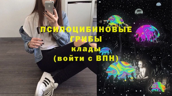 не бодяженный Арсеньев
